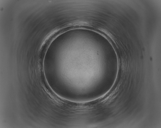 X0000068811115200605121243