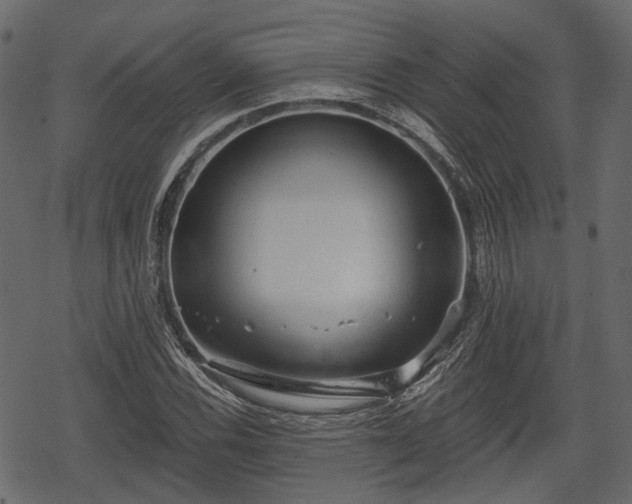 X0000068811116200605121243