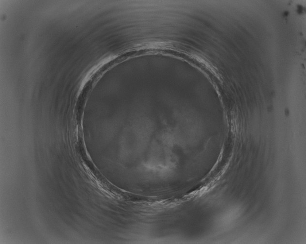 X0000068811117200605121243