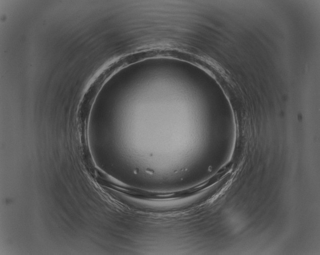 X0000068811118200605121243