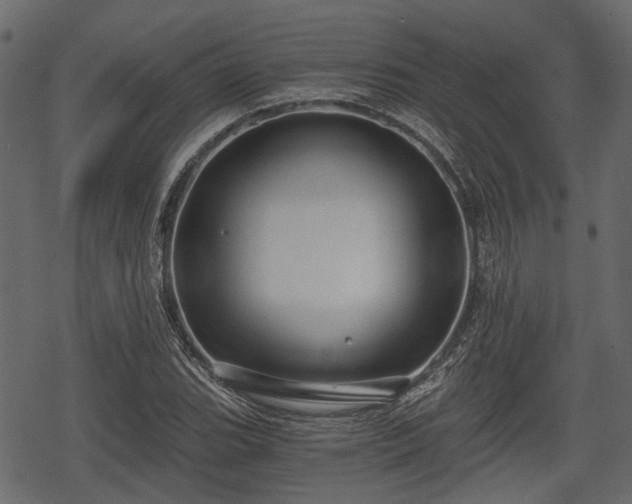 X0000068811119200605121243