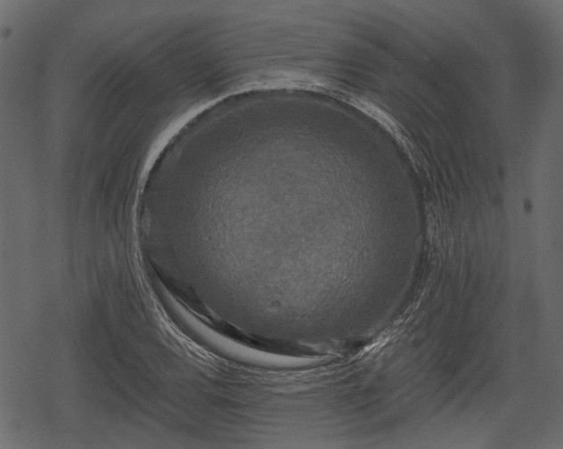 X0000068811120200605121243