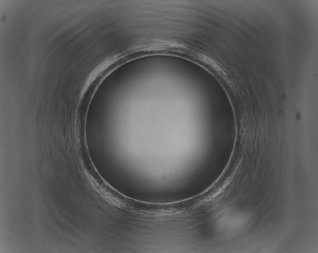 X0000068811122200605121243