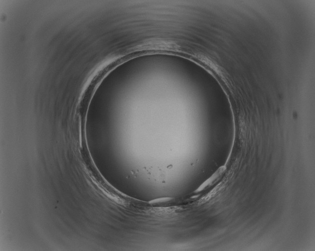 X0000068811123200605121243