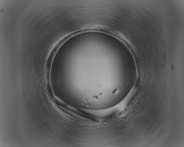 X0000068811124200605121243