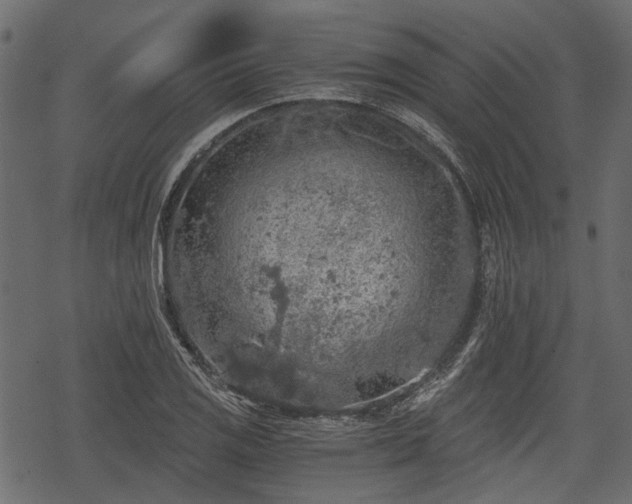 X0000068811125200605121243