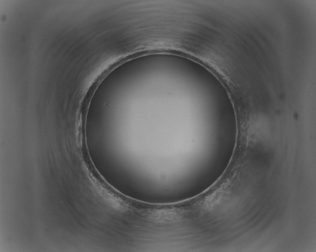 X0000068811126200605121243