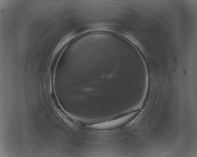 X0000068811127200605121243