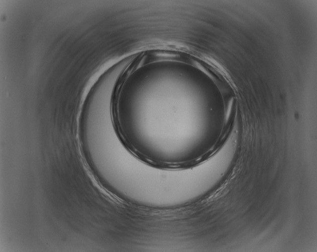 X0000068811128200605121243