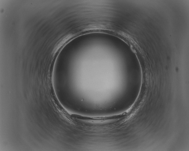 X0000068811129200605121243