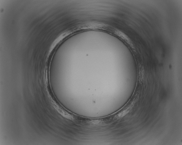 X0000068811130200605121243