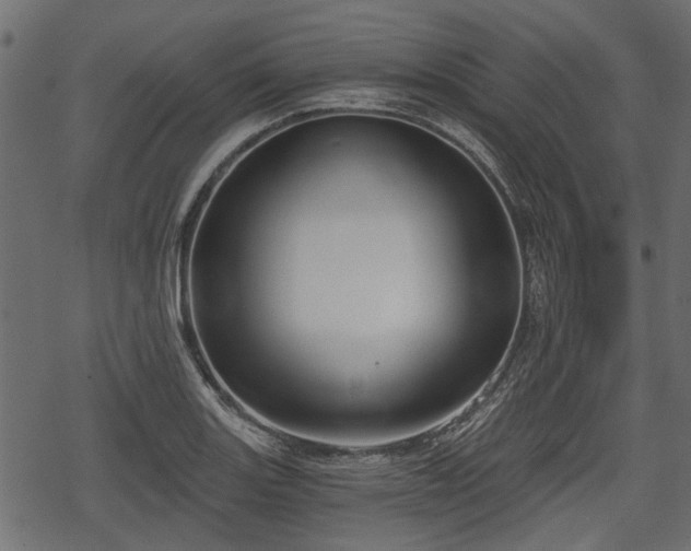 X0000068811131200605121243