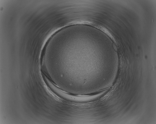 X0000068811132200605121243