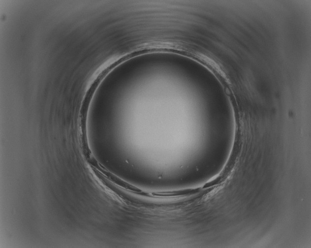 X0000068811133200605121243