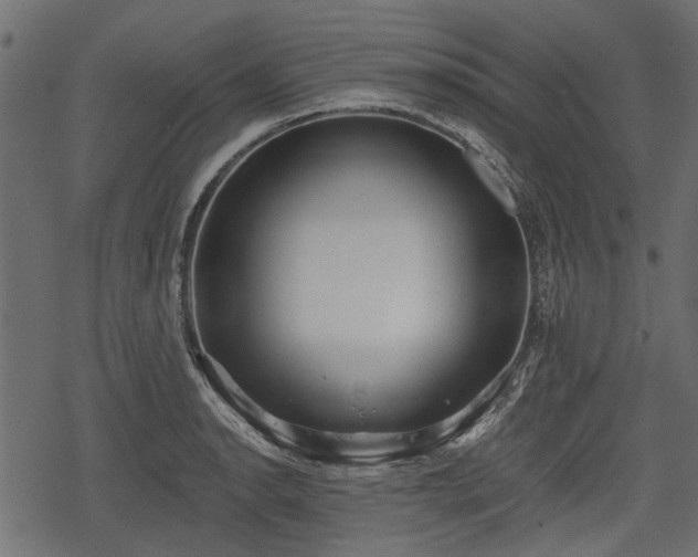 X0000068811134200605121243