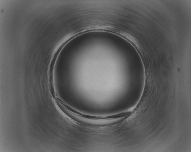 X0000068811135200605121243