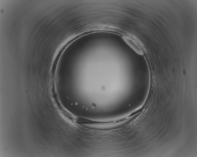 X0000068811136200605121243