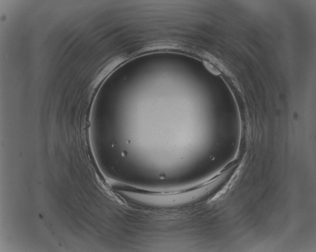 X0000068811137200605121243