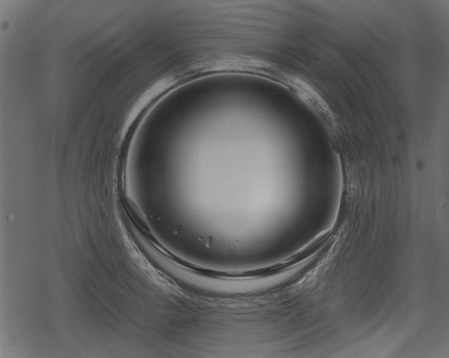 X0000068811138200605121243