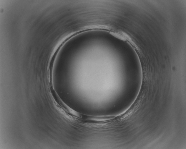 X0000068811140200605121244