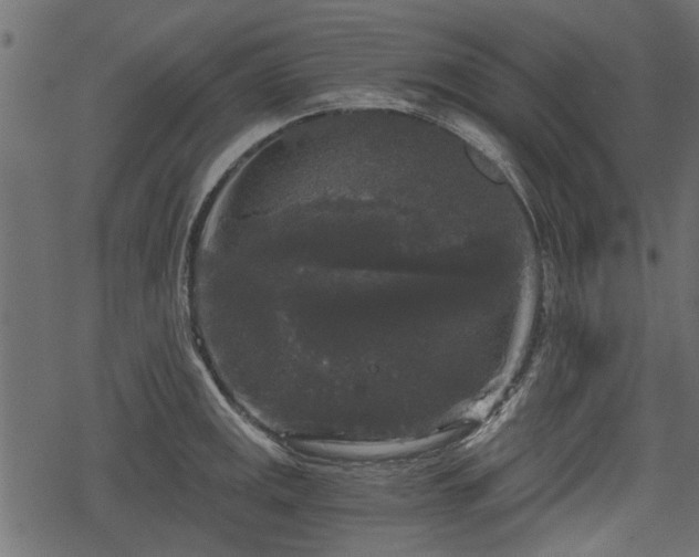 X0000068811141200605121244