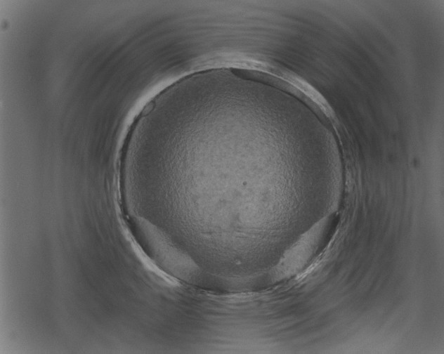 X0000068811144200605121244