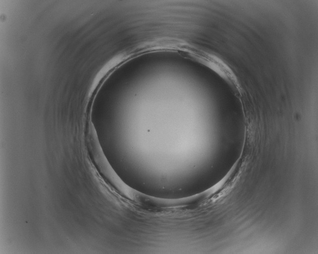 X0000068811146200605121244