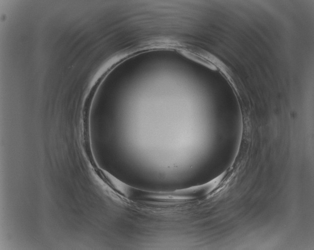 X0000068811147200605121244