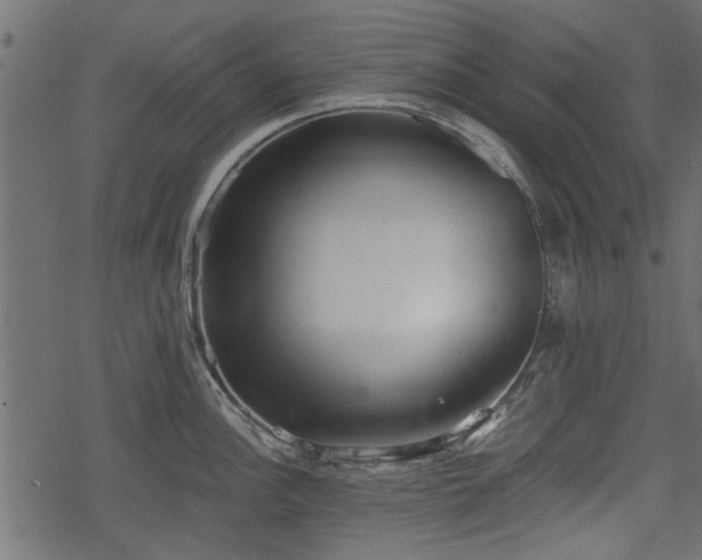 X0000068811148200605121244