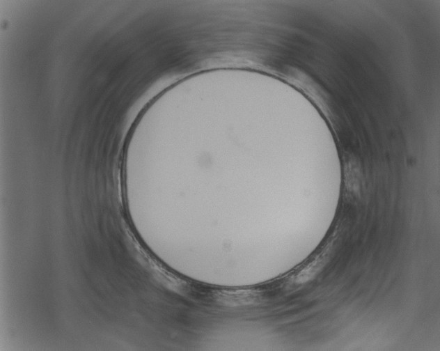 X0000068811150200605121244