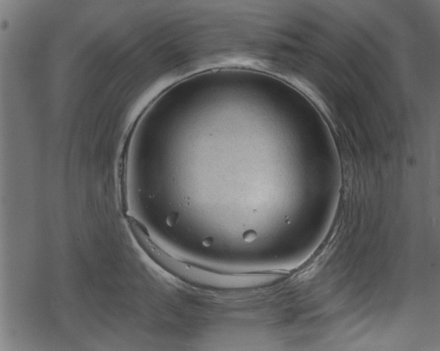 X0000068811151200605121244