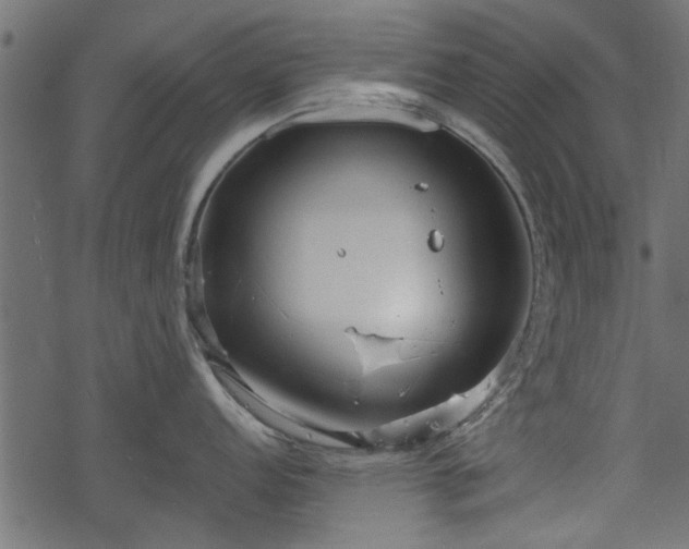 X0000068811152200605121244