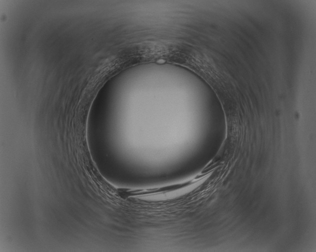 X0000068811153200605121243