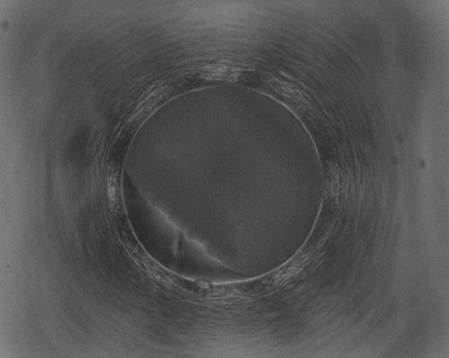 X0000068811154200605121243