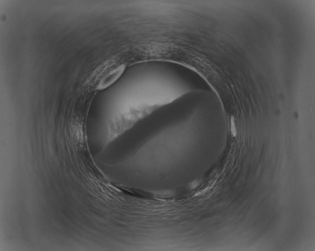 X0000068811155200605121243