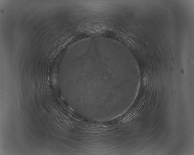 X0000068811156200605121243