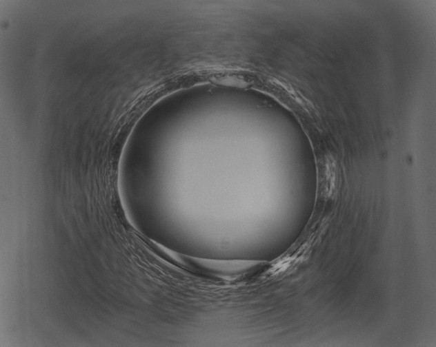 X0000068811157200605121243