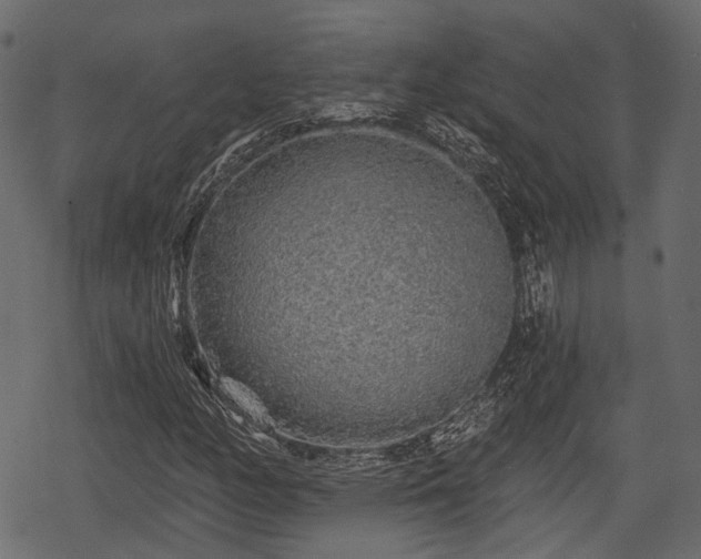 X0000068811158200605121243