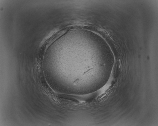 X0000068811159200605121243