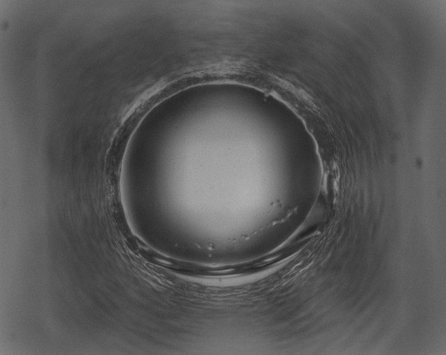 X0000068811160200605121243