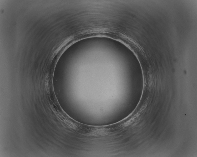 X0000068811162200605121243