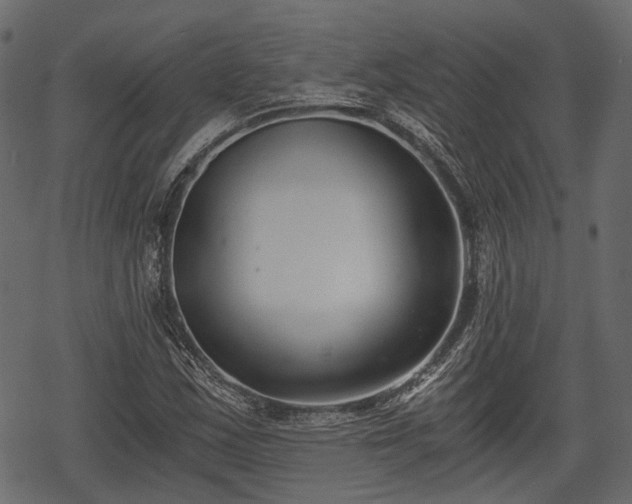 X0000068811163200605121243