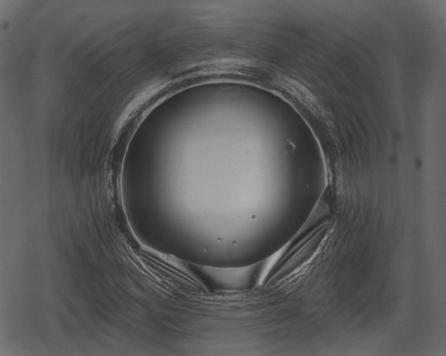 X0000068811164200605121243