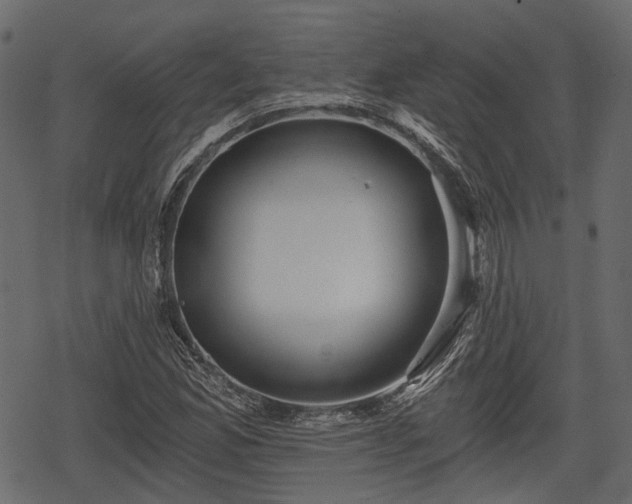 X0000068811165200605121243