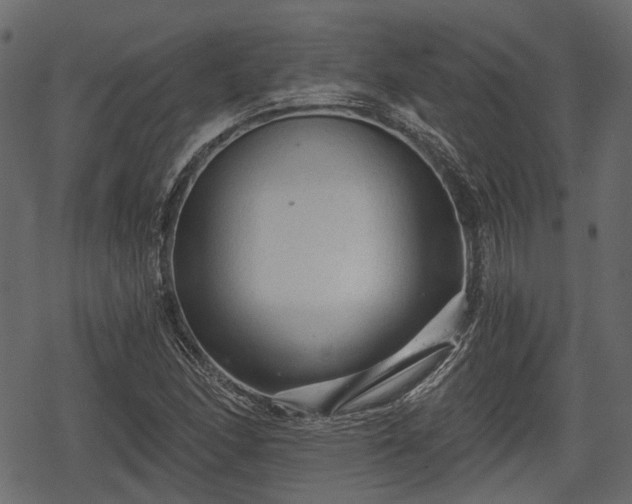 X0000068811166200605121243