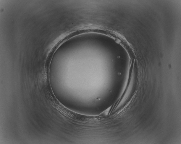 X0000068811167200605121243