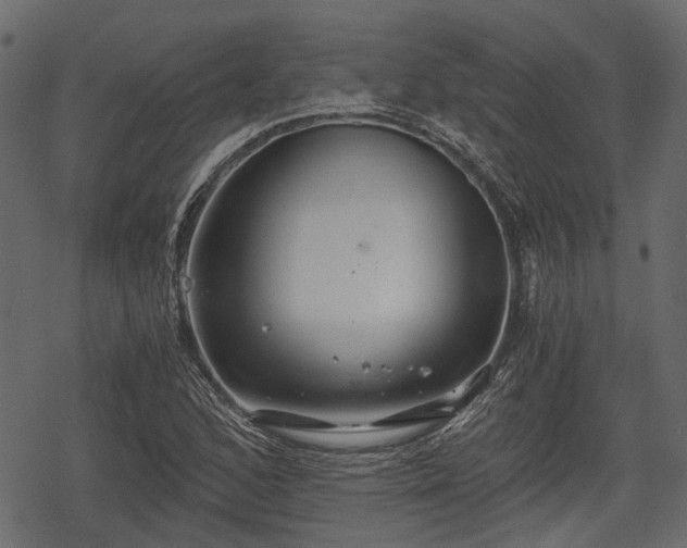 X0000068811168200605121243