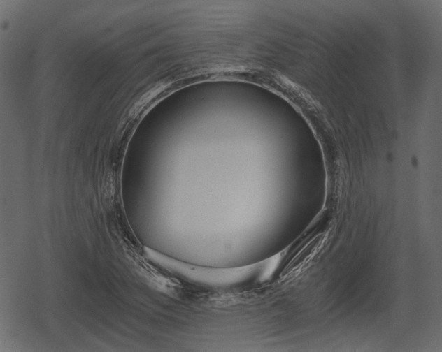 X0000068811169200605121243