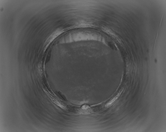 X0000068811170200605121243