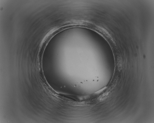 X0000068811172200605121243